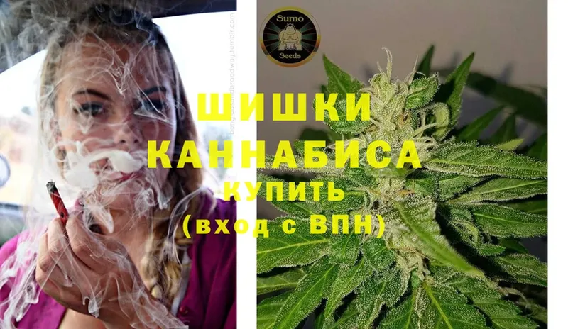 Бошки марихуана индика  кракен онион  Губкинский  продажа наркотиков 